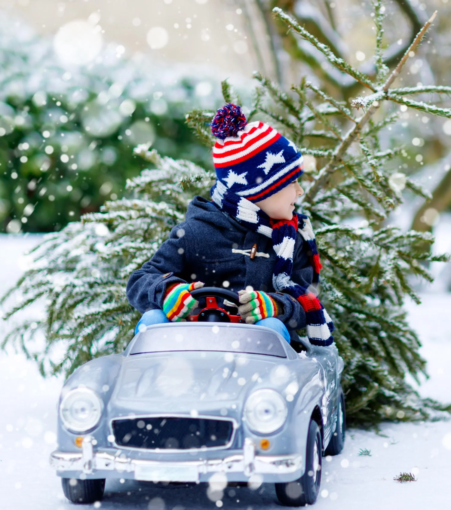 boy with tree