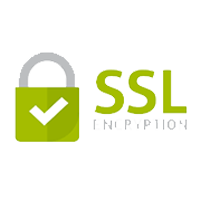 The standard security technology for establishing an encrypted link between a web server and a browser.